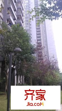 隆鑫國際外景圖 