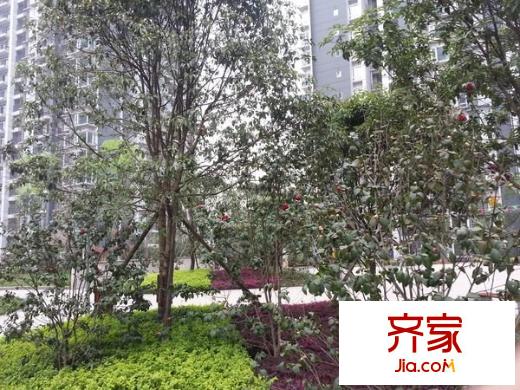 建工錦繡華城外景圖 