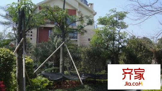 寶嘉江楓美岸外景圖 