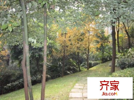 協(xié)信云棲谷外景圖 