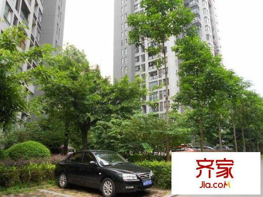 強(qiáng)輝金色池塘外景圖 