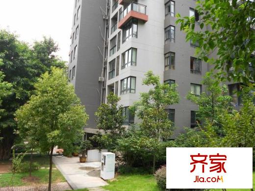 強(qiáng)輝金色池塘外景圖 