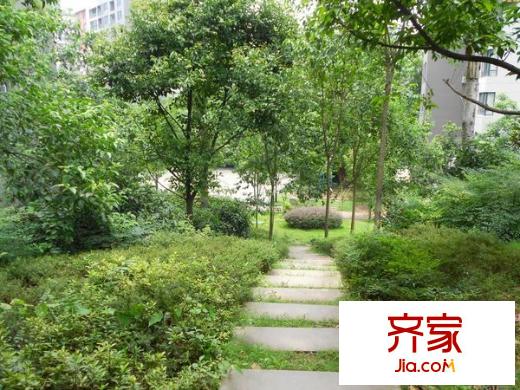 強(qiáng)輝金色池塘外景圖 