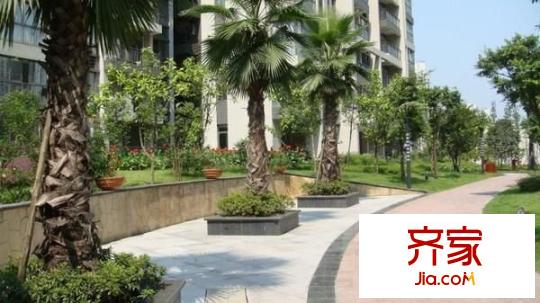 勁力五星城外景圖 