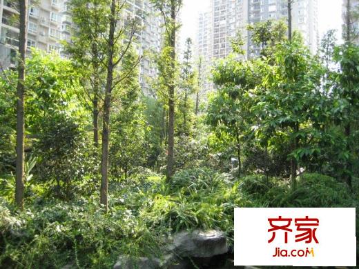 俊峰龍鳳云洲外景圖