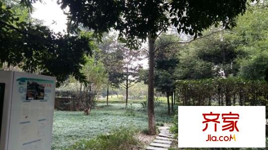 匯祥好萊塢外景圖 