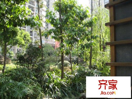 俊峰龍鳳云洲外景圖