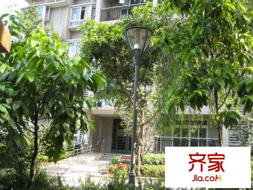 俊峰龍鳳云洲外景圖