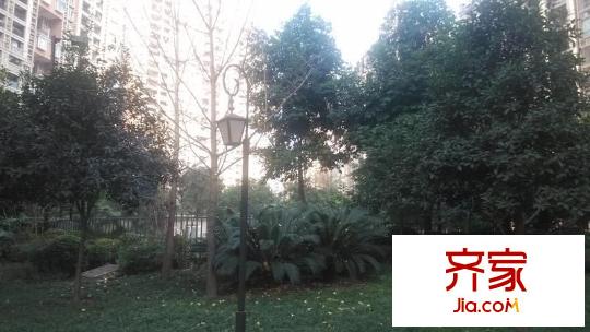 奧園康城A區(qū)外景圖 