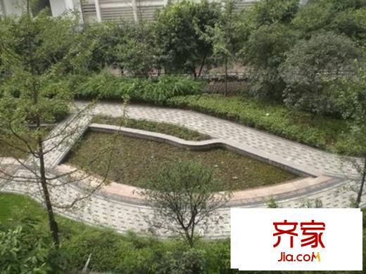 魯能星城九街區(qū)外景圖 