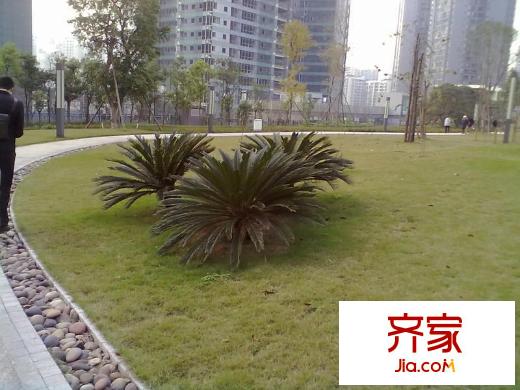 大眾尚嶺花園外景圖 
