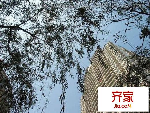百年世家外景圖 