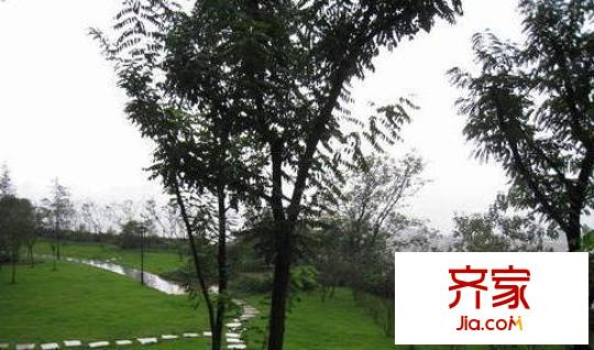 龍湖觀山水外景圖