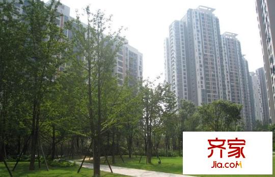 龍湖觀山水外景圖