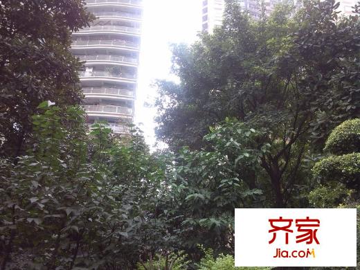 華宇廣場(chǎng)外景圖 