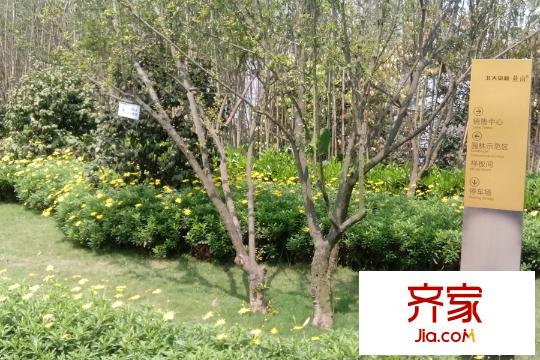 北大資源燕南小區(qū)綠化帶（2015-03-26）