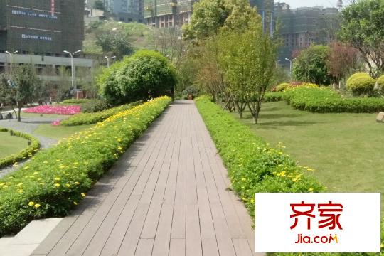 北大資源燕南小區(qū)綠化帶（2015-03-26）