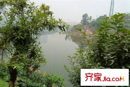 奧園盤龍壹號(hào)周邊彩云湖