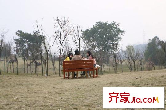 融創(chuàng)凡爾賽花園周邊照母山
