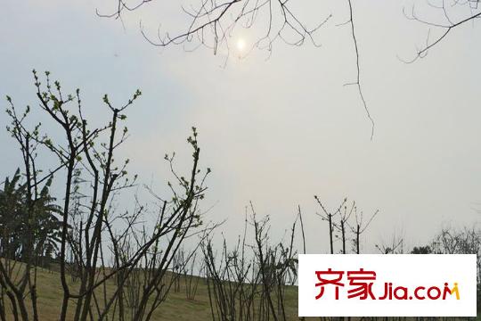 融創(chuàng)凡爾賽花園周邊照母山