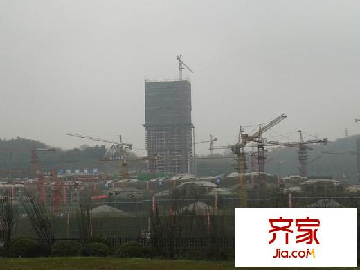 融創(chuàng)凡爾賽花園工程進(jìn)度圖（2013-3-1）