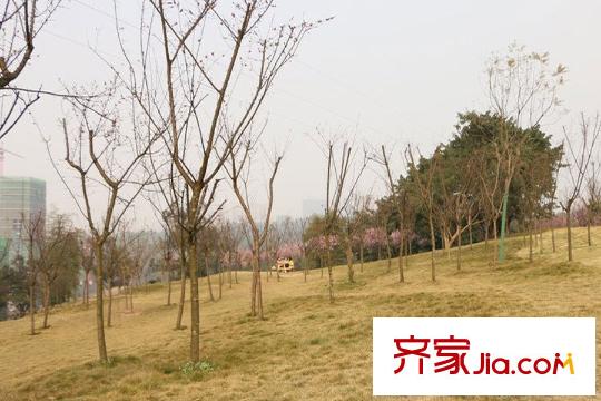 融創(chuàng)凡爾賽花園周邊照母山