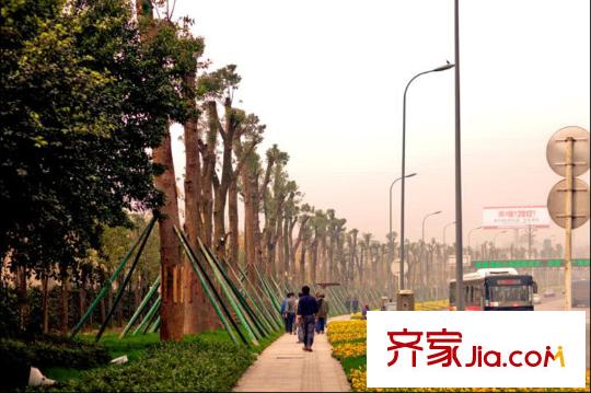 金科世界城配套圖項目周邊公路