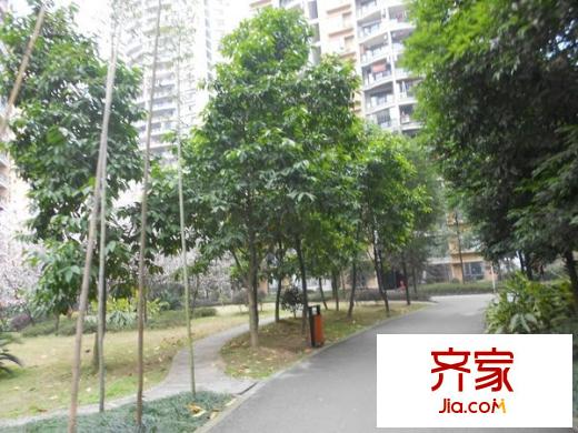 青河世家外景圖 