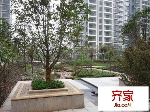 巨成龍灣實(shí)景圖中庭景觀