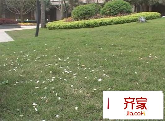 中渝山頂?shù)酪继柾饩皥D
