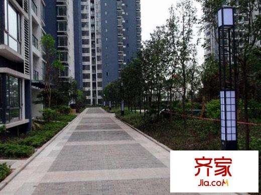 巨成龍灣實(shí)景圖2009-5-5進(jìn)度