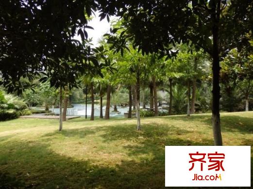 奧林匹克花園四期外景圖 