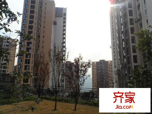 大川壹江城外景圖壹江城C調(diào) 