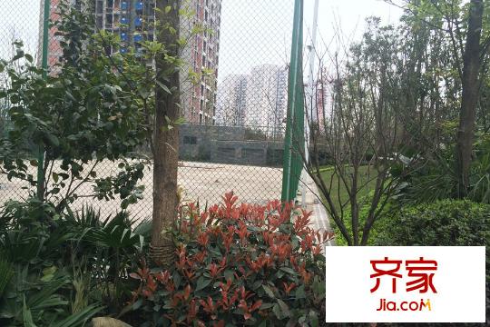 國(guó)興北岸江山東區(qū)網(wǎng)球場(chǎng)實(shí)景(2015-3-4)