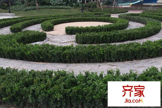 國(guó)興北岸江山東區(qū)小區(qū)綠化實(shí)景(2015-3-4)