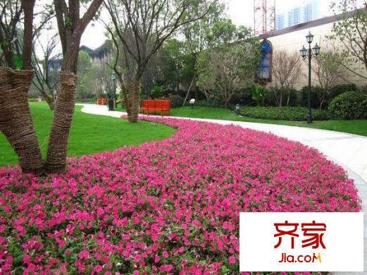 金科公園王府外景圖