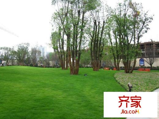 金科公園王府外景圖