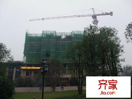 金科公園王府外景圖一期A1號(hào)樓工程進(jìn)度圖（2011.11）