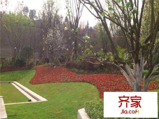 協(xié)信春山臺(tái)小區(qū)花園（2013.06）