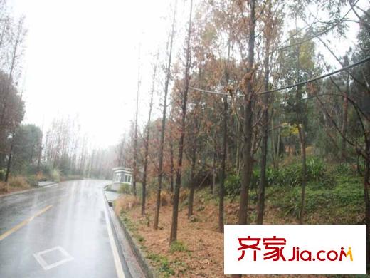 協(xié)信春山臺項目周邊照母山森林公園