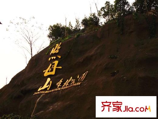 協(xié)信春山臺項(xiàng)目周邊照母山森林公園