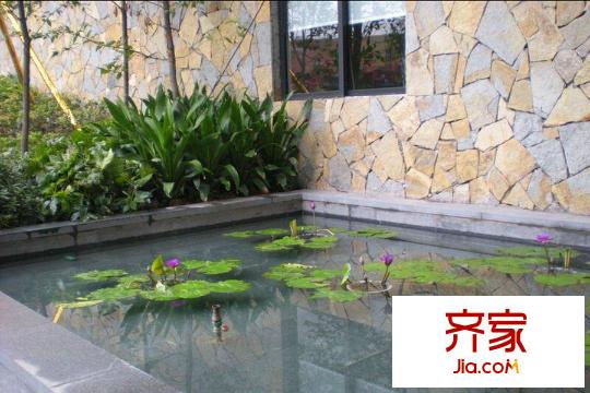隆鑫天雨方實景圖項目小區(qū)花園（2015.07.28）