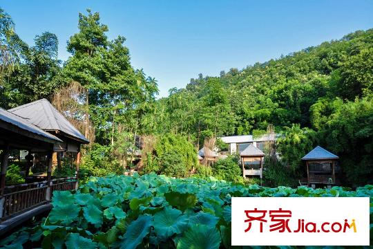 康田蔚藍(lán)海周邊照母山森林公園