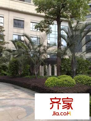 保利康橋外景圖