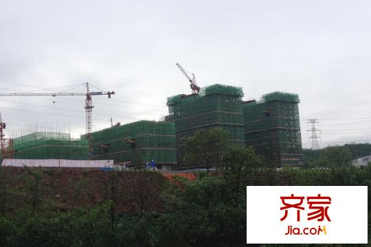 康田蔚藍(lán)海一期洋房工程進(jìn)度圖（2015.06）