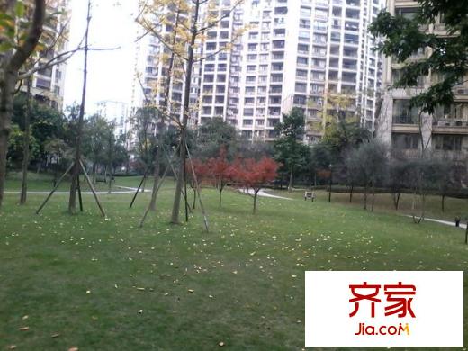 愛加西西里外景圖 