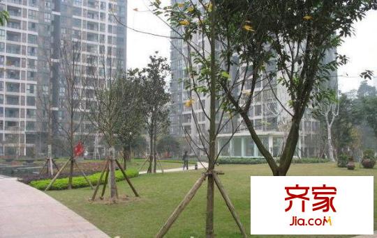 融僑諾丁陽光外景圖
