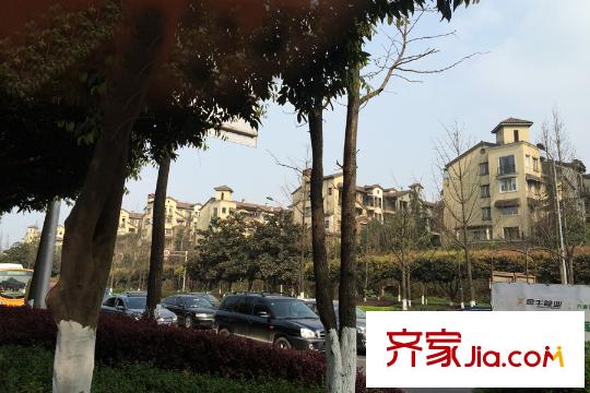 力帆紅星國(guó)際廣場(chǎng)玫瑰天街項(xiàng)目西側(cè)道路