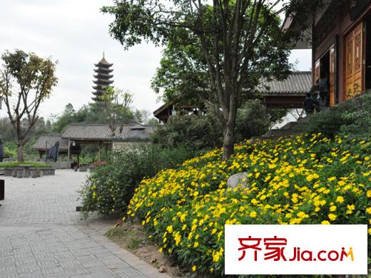 力帆紅星國際廣場玫瑰天街周邊照母山公園