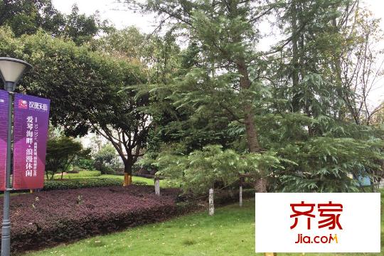 力帆紅星國際廣場玫瑰天街售樓部外綠化實景（2015-9）